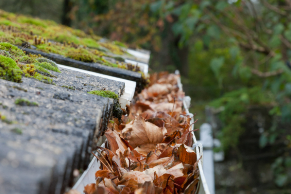 1. Clear out the gutters and drains